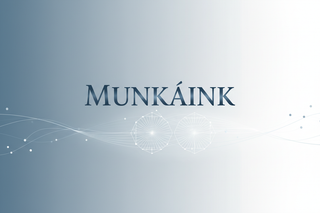 Munkáink szöveg legyen